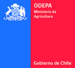 Informe Consulta Pública Modificación Decreto N°464 ODEPA