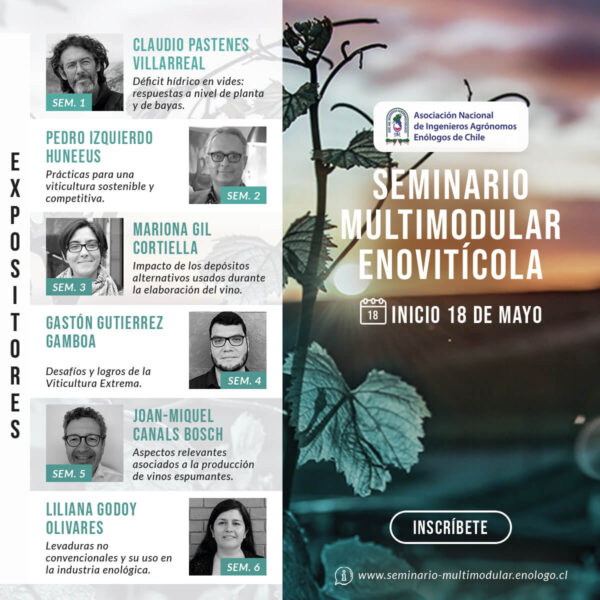 Seminario Enovitícola: Déficit hídrico en vides: respuestas a nivel de planta y de bayas.