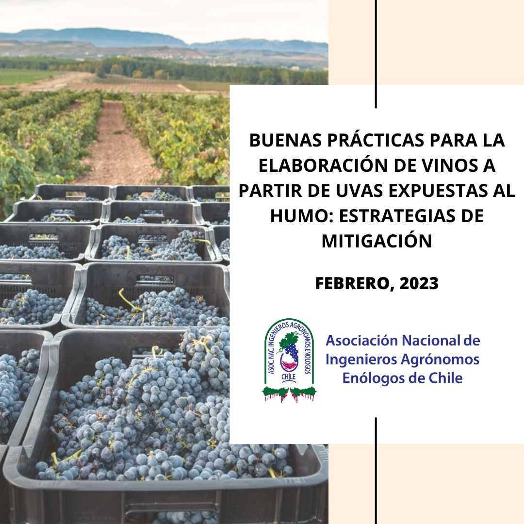 Buenas prácticas para la elaboración de vinos a partir de uvas expuestas al humo: estrategias de mitigación